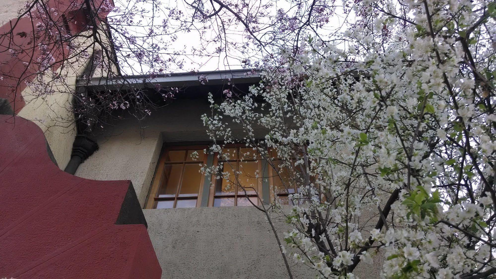 Providencia Bed & Breakfast 산티아고 외부 사진